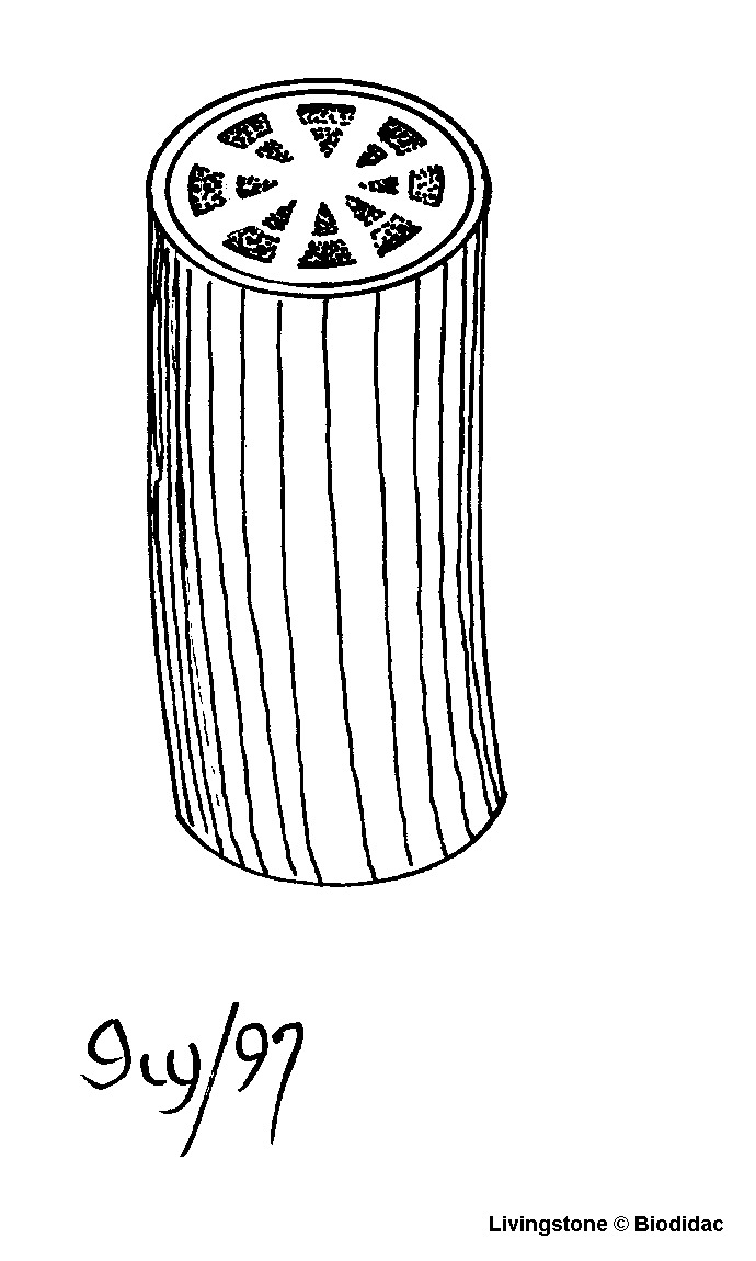 dico026b.gif dico026b.gif