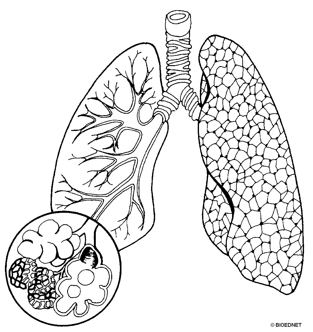 mamm001b.gif mamm001b.gif