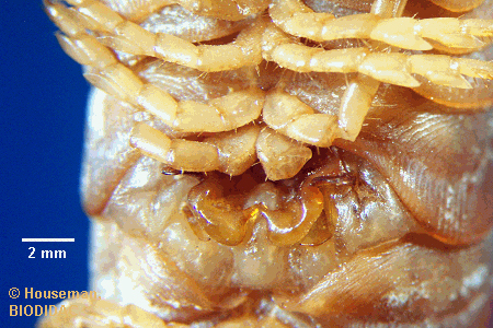 unir048p.jpeg unir048p.jpeg