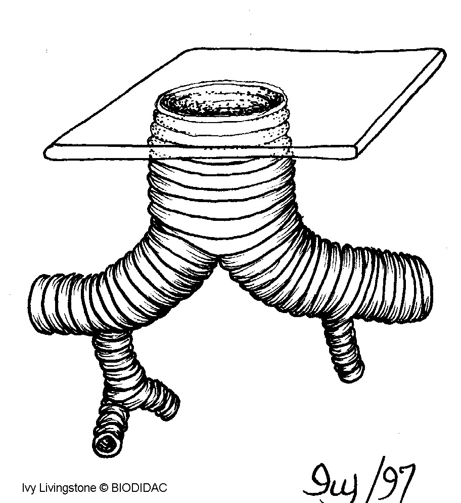 inse081b.gif inse081b.gif