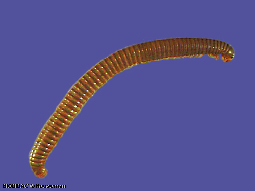 unir002p.jpeg unir002p.jpeg