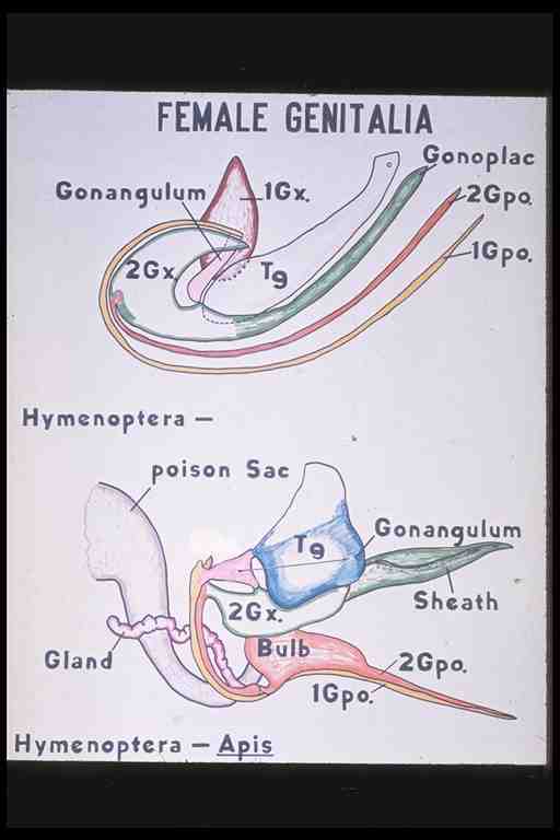 ata0169.jpg