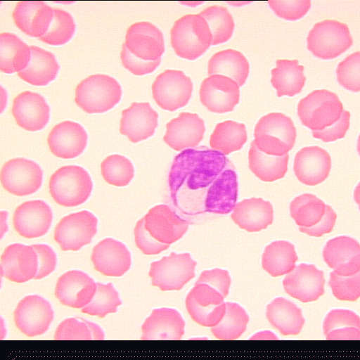 b5-8k9n.gif b5-8k9n.gif