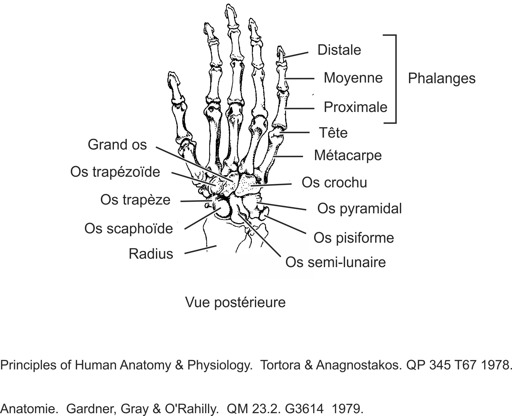 humn123b-FR.png