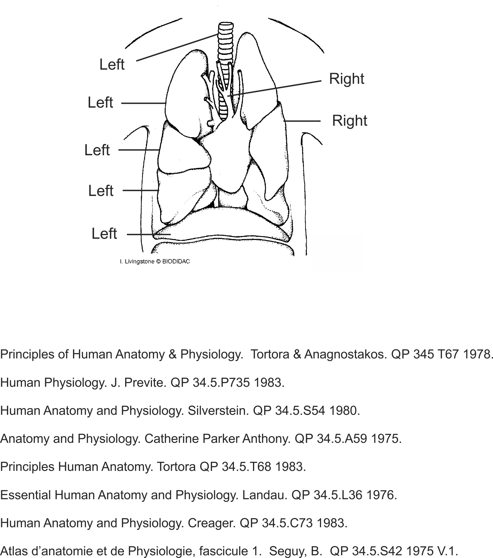 humn089b-EN.png humn089b-EN.png