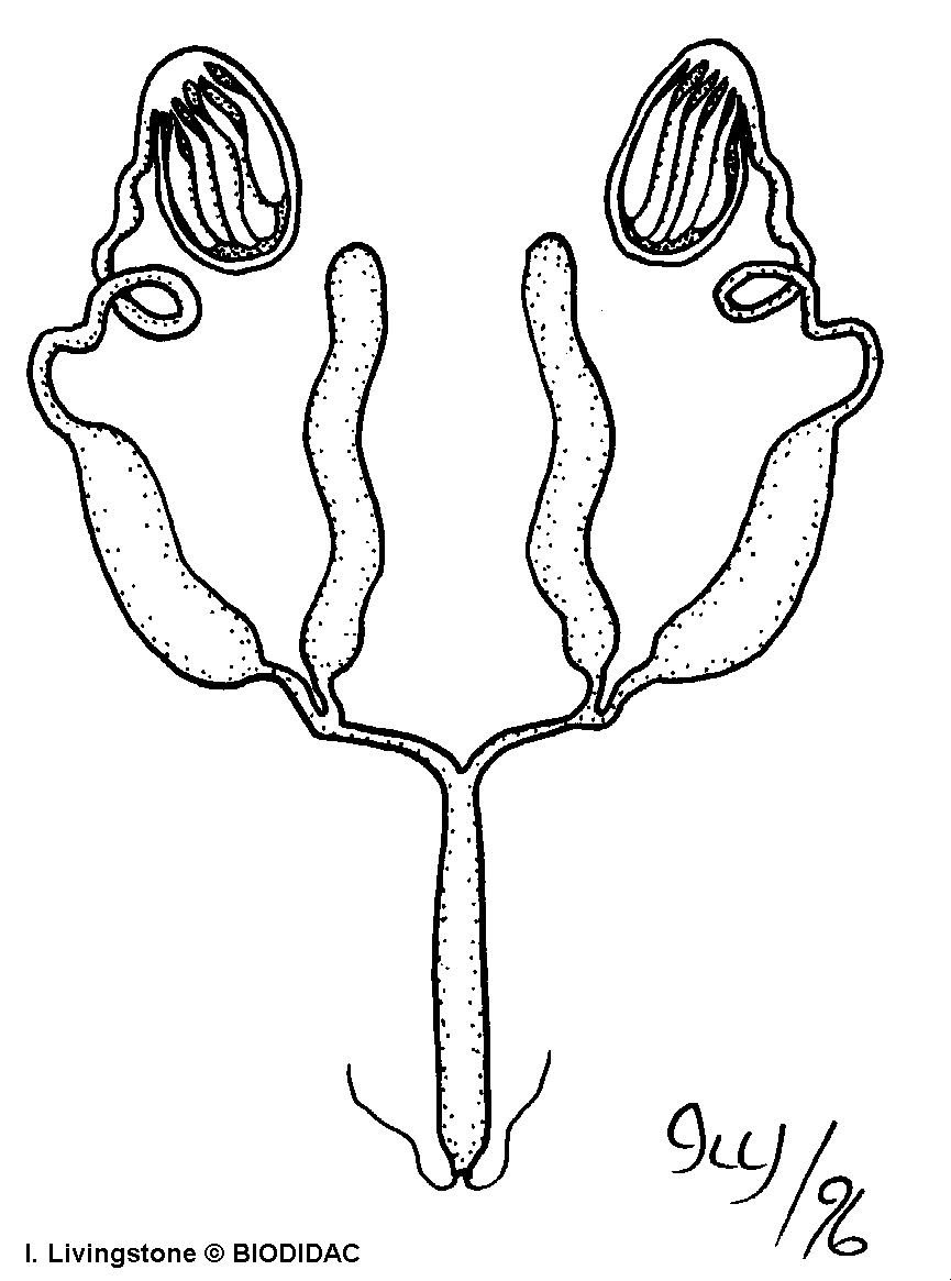 inse012b.gif inse012b.gif