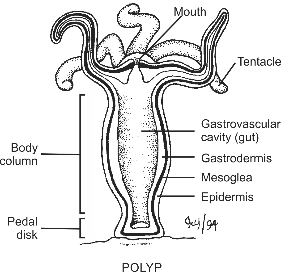 hydr006b-EN.png hydr006b-EN.png