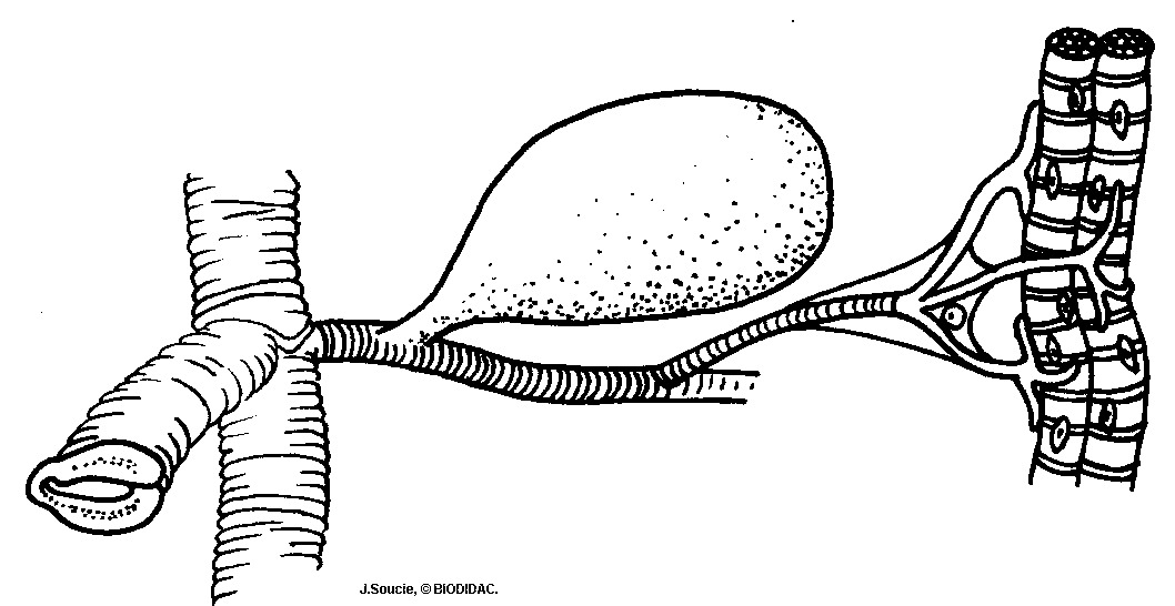 inse001b.gif inse001b.gif