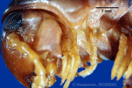 unir037p.jpeg unir037p.jpeg