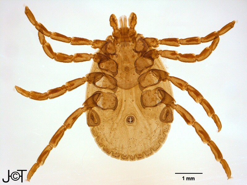 chel089p.jpg chel089p.jpg