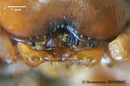 unir041p.jpeg unir041p.jpeg