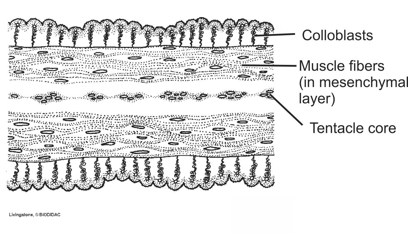 cten001b-EN.png cten001b-EN.png