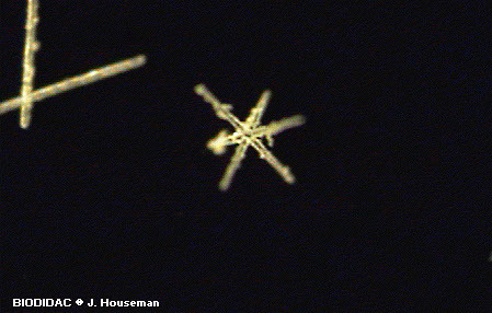 hexa005p.jpeg hexa005p.jpeg