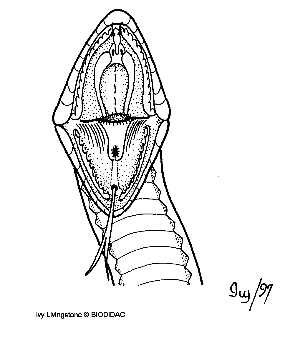 rept032b.gif rept032b.gif