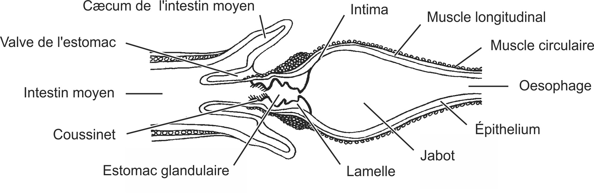 inse018b-FR.png inse018b-FR.png