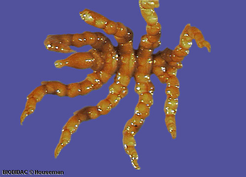 chel008p.gif chel008p.gif