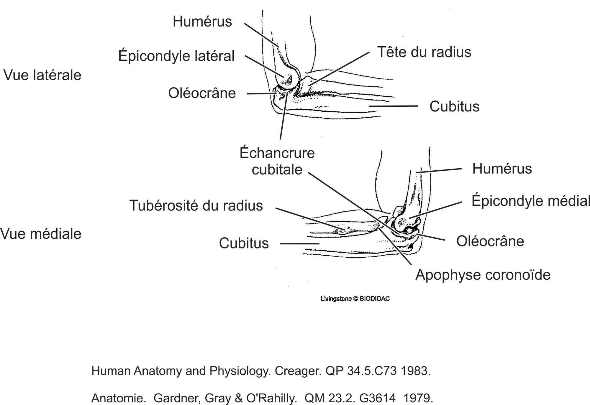 humn121b-FR.png