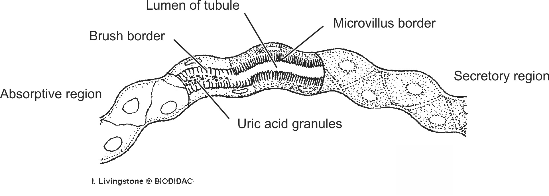 inse015b-EN.png inse015b-EN.png