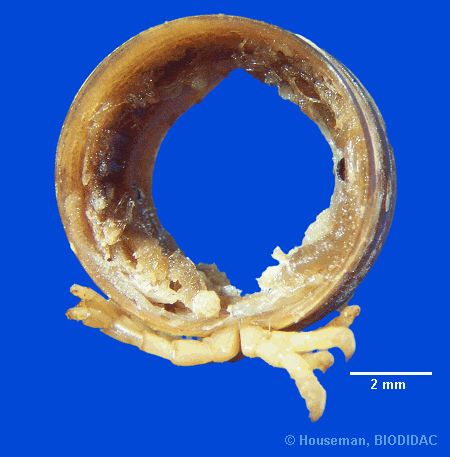 unir046p.jpeg unir046p.jpeg