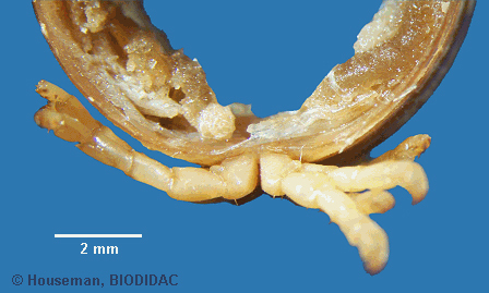 unir047p.jpeg unir047p.jpeg