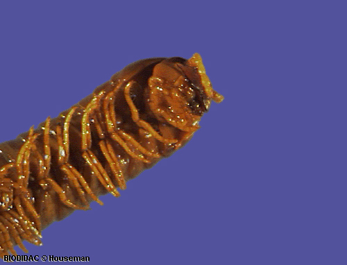 unir009p.jpeg unir009p.jpeg