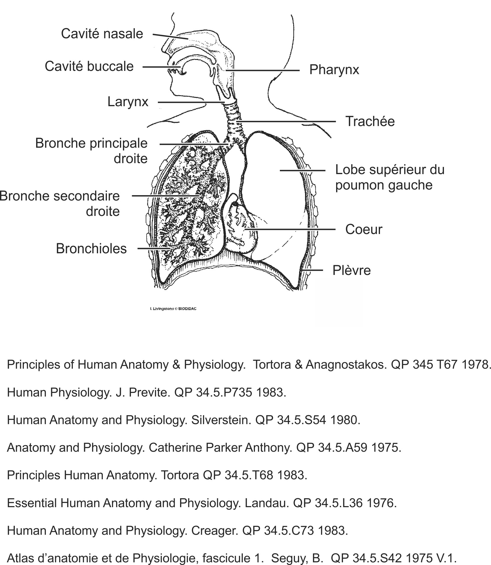 humn083b-FR.png