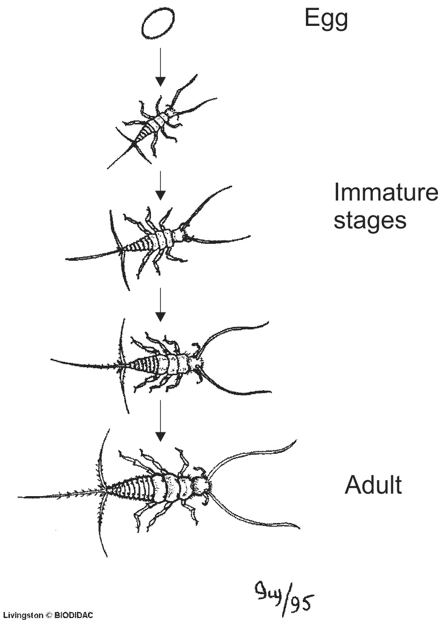 inse009b-EN.png inse009b-EN.png