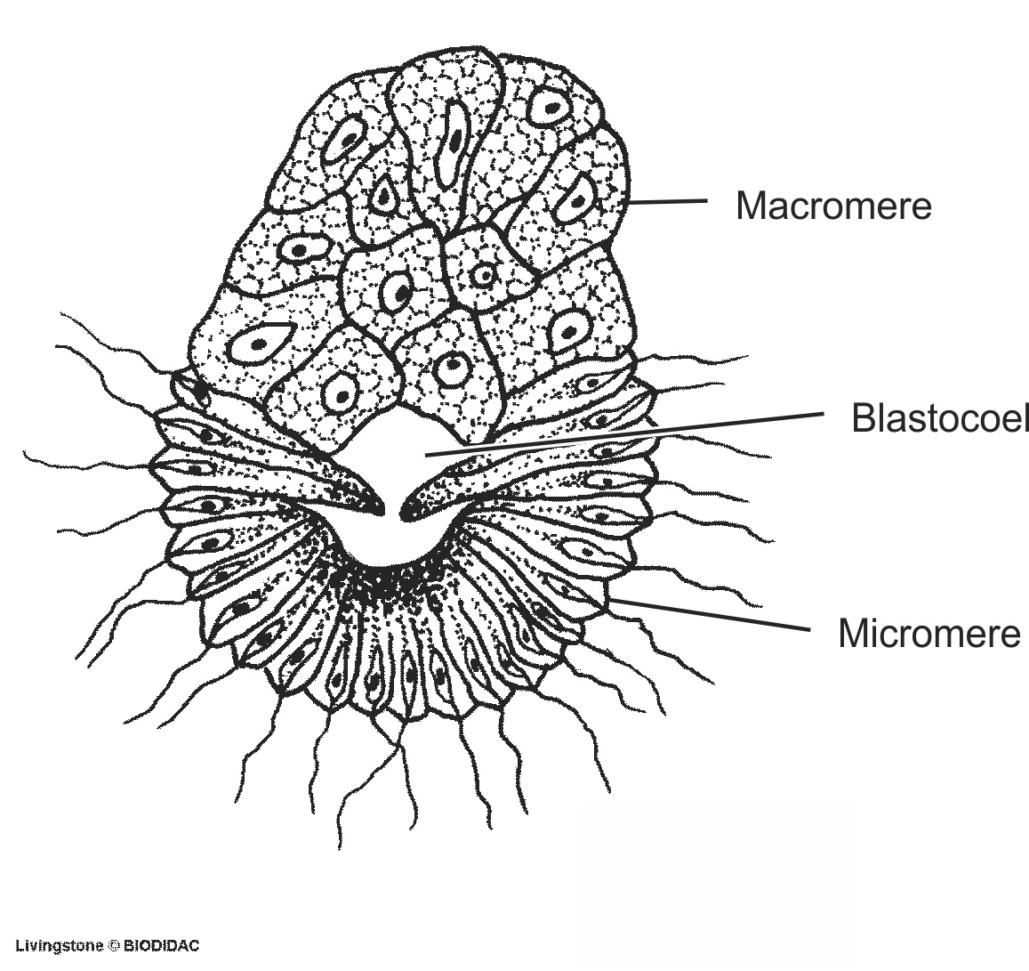 pori011b-EN.png pori011b-EN.png