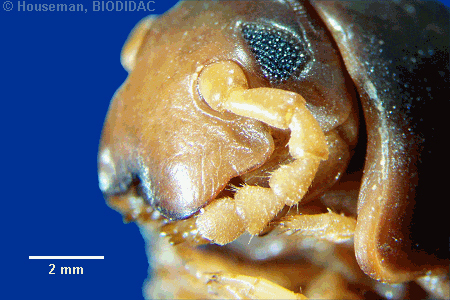 unir036p.jpeg unir036p.jpeg