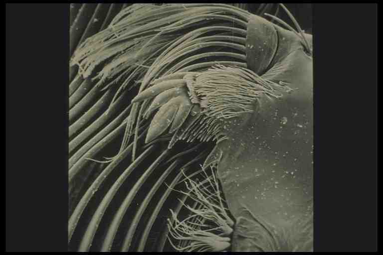 ata0034.jpg ata0034.jpg