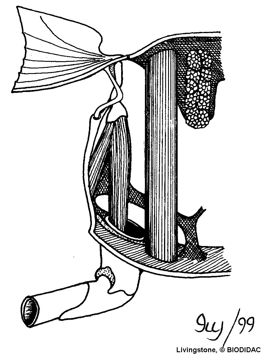 inse131b.gif inse131b.gif