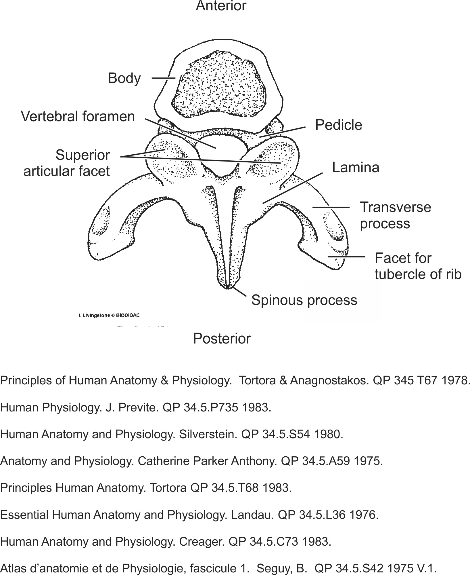 humn079b-EN.png