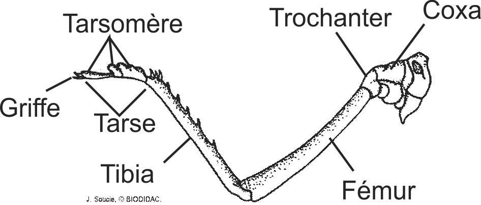 inse002b-FR.png inse002b-FR.png