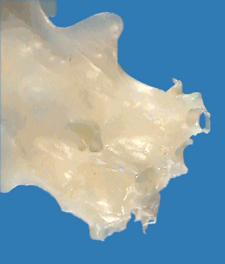 squa178p.jpeg squa178p.jpeg