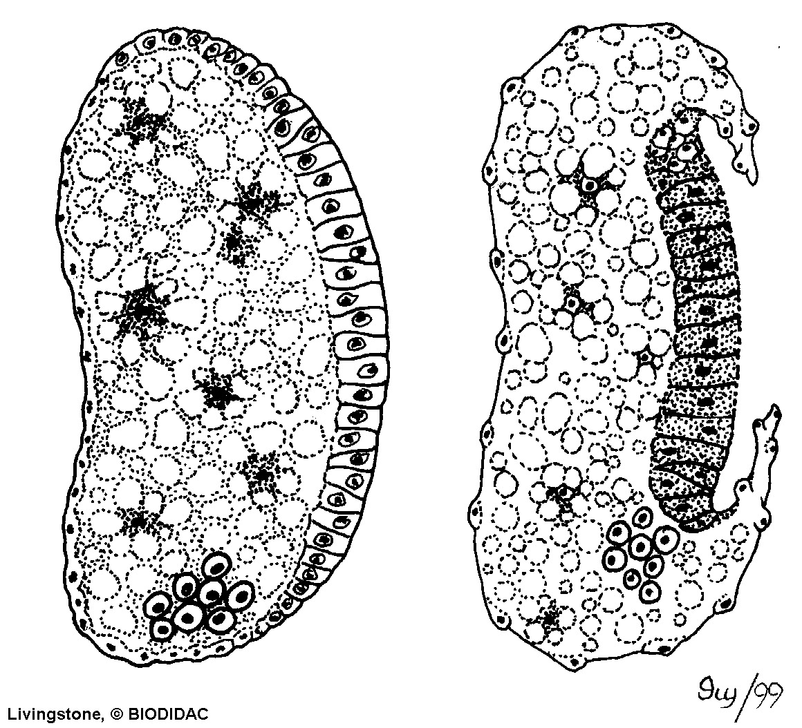 inse122b.gif inse122b.gif