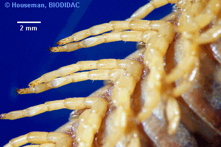 unir032p.jpeg unir032p.jpeg