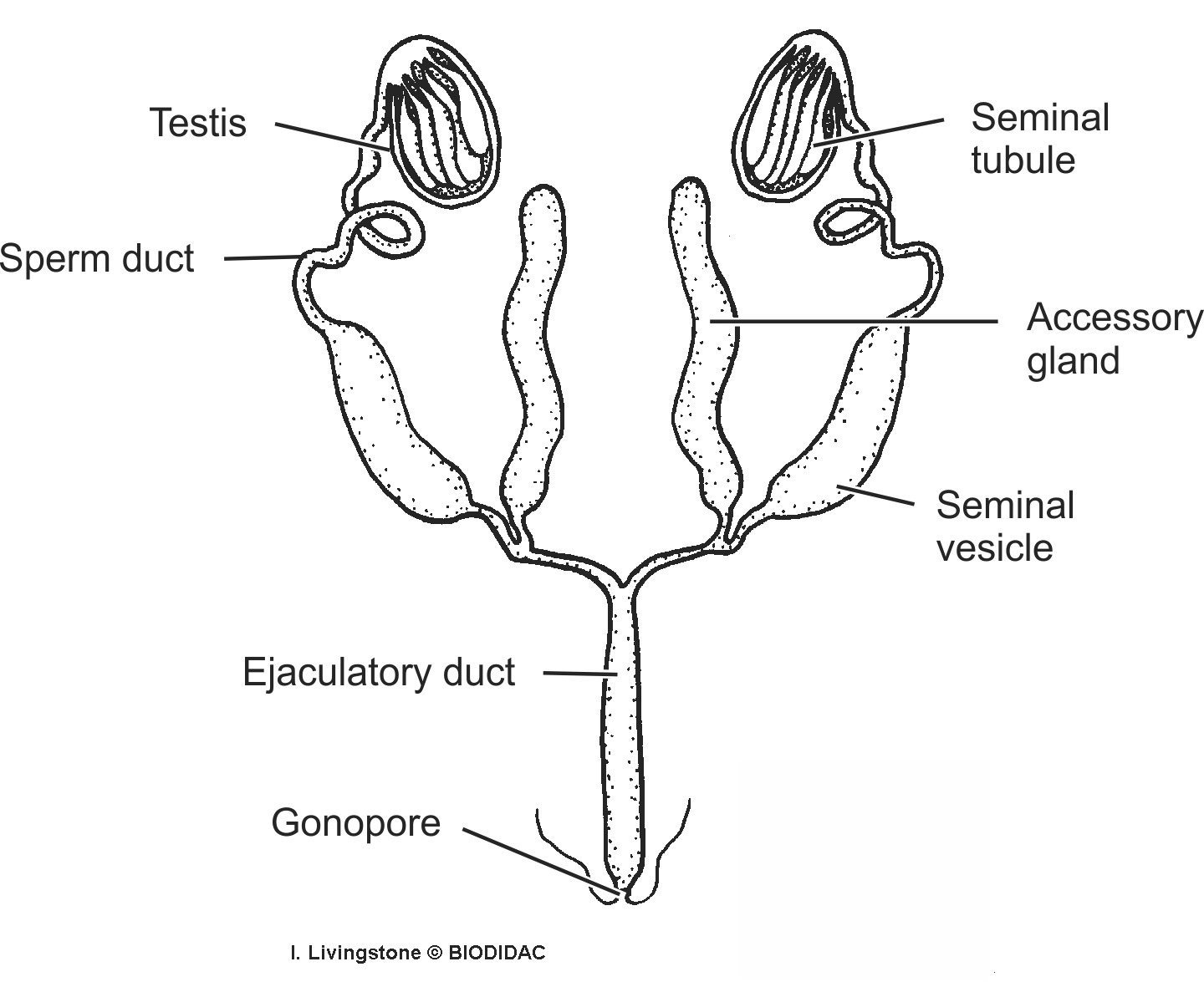 inse012b-EN.png inse012b-EN.png