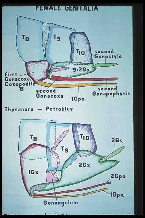 ata0145.jpg