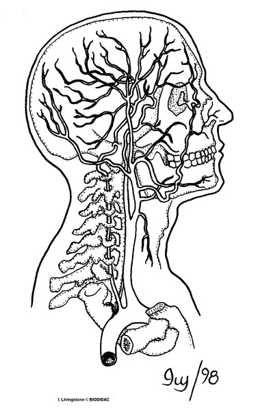 humn193b.gif