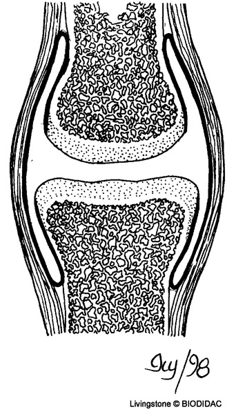 humn136b.gif