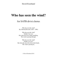 CRM-whohasseen-eisenband.pdf