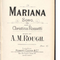 CRM-mariana-rough.pdf