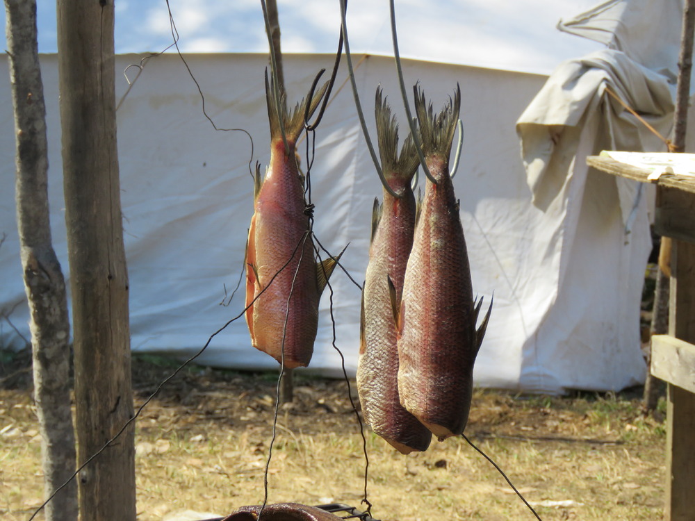 29 IMG_0538.JPG 29 IMG_0538.JPG