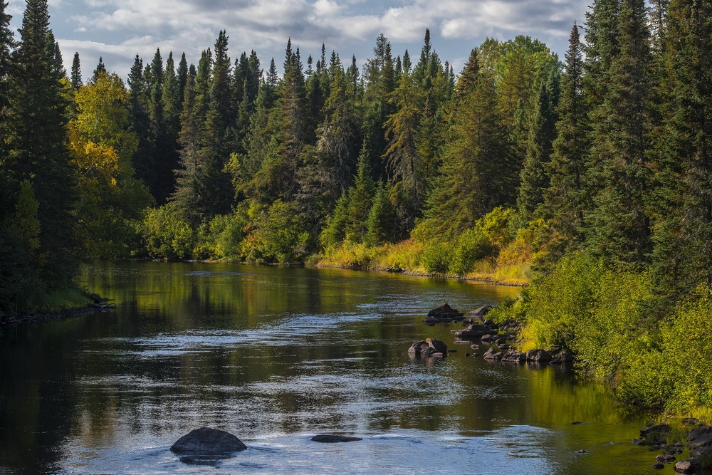 61 Territoire Wemotaci_5565©Enviro Foto_resize.jpg 61 Territoire Wemotaci_5565©Enviro Foto_resize.jpg
