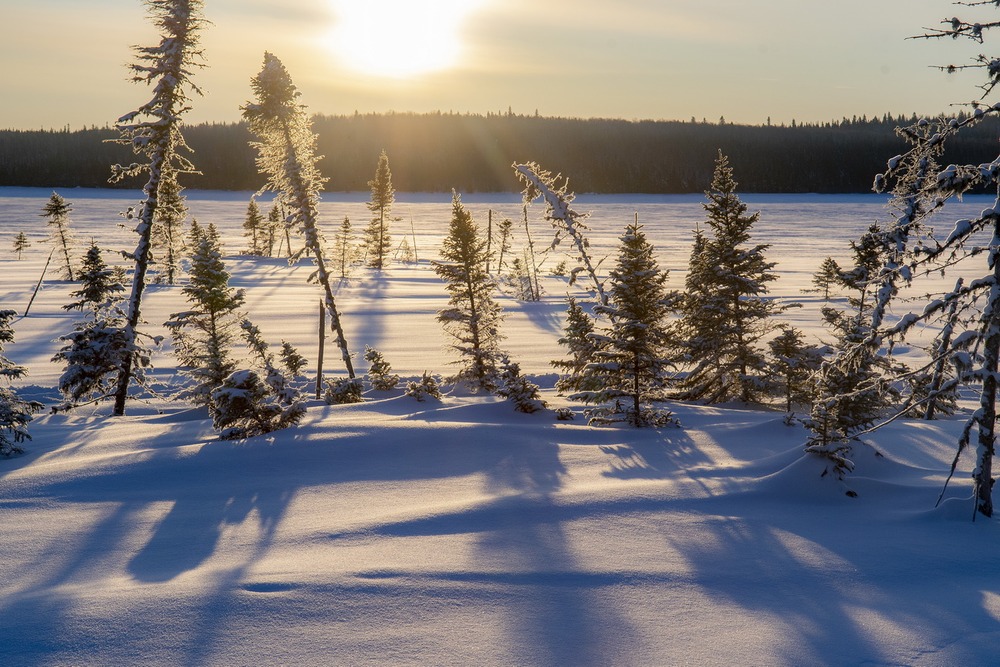 46 Moteskano 2020_0476©Enviro Foto_resize.jpg 46 Moteskano 2020_0476©Enviro Foto_resize.jpg