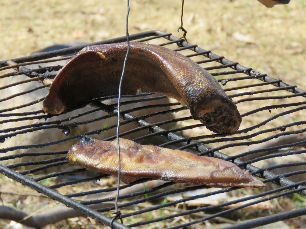 30 IMG_0541.JPG 30 IMG_0541.JPG