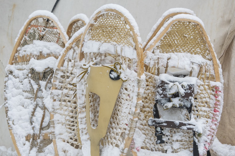 42 Moteskano 2020_0062©Enviro Foto_resize.jpg 42 Moteskano 2020_0062©Enviro Foto_resize.jpg