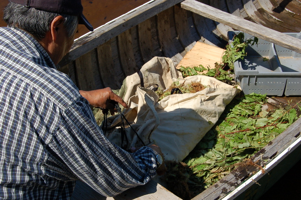 5 peche au filet a l'esturgeon (174).jpg 5 peche au filet a l'esturgeon (174).jpg