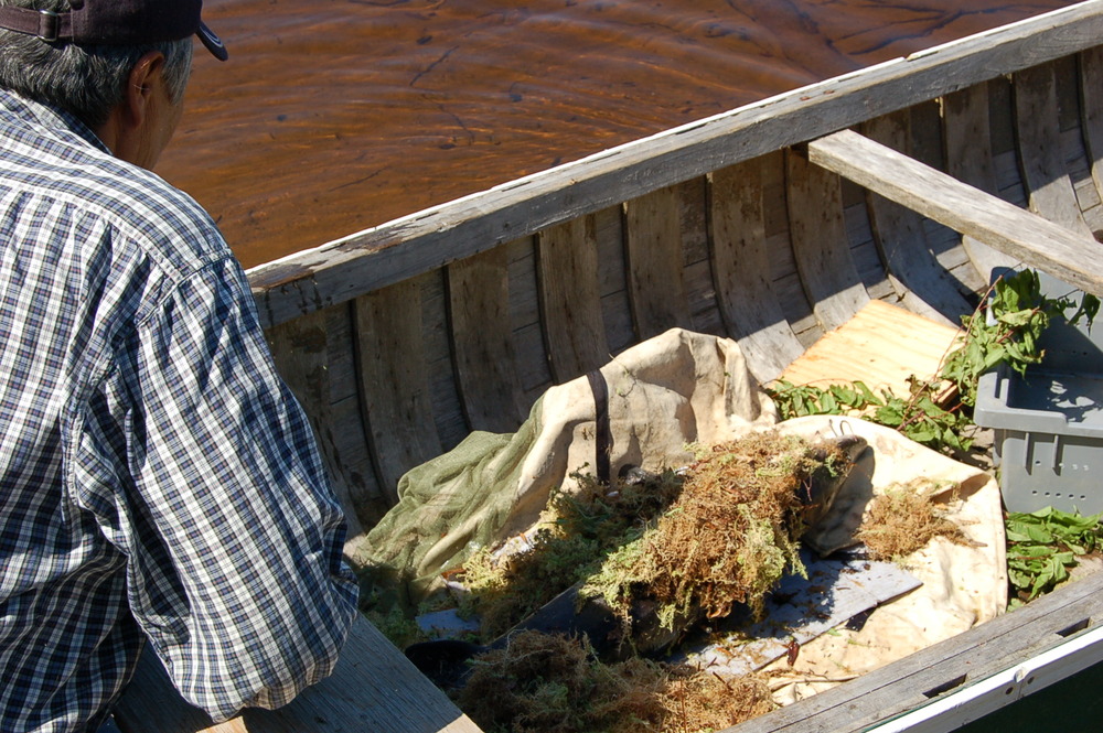 4 peche au filet a l'esturgeon (171).jpg 4 peche au filet a l'esturgeon (171).jpg