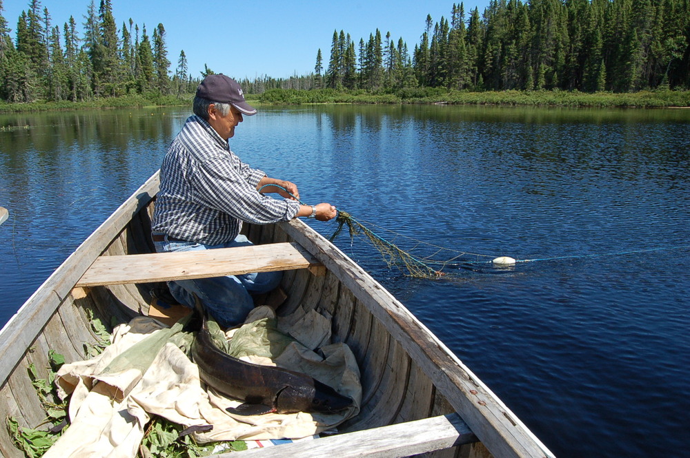 2 peche au filet a l'esturgeon (43).jpg 2 peche au filet a l'esturgeon (43).jpg